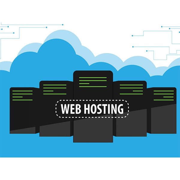 Linux Hosting 1000mb